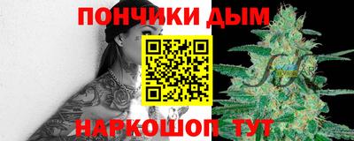 дурь Камышлов