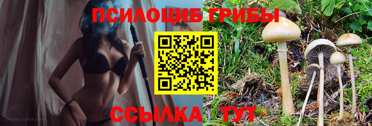 Галлюциногенные грибы ЛСД Кулебаки